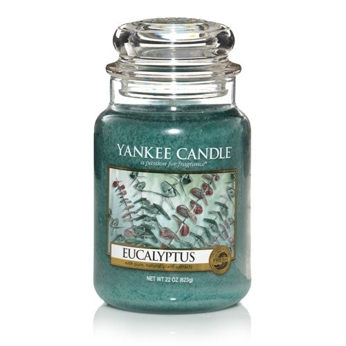 Yankee Candle Eucalyptus U.S Exclusive House Warmer Jar
